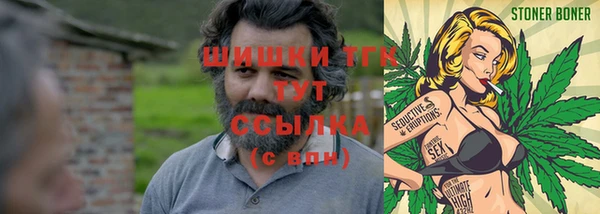 дмт Кукмор