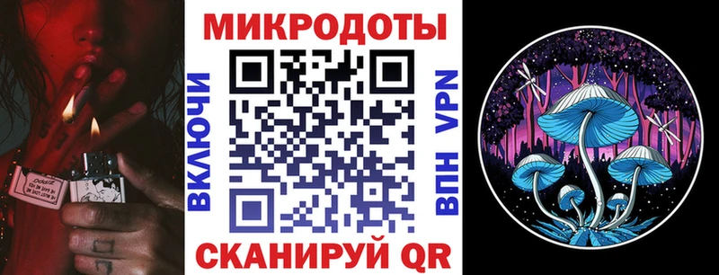 Купить где  Гаврилов-Ям  Галлюциногенные грибы MAGIC MUSHROOMS 
